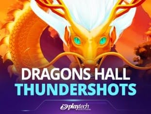 Dragons Hall™ game icon